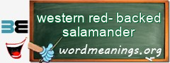 WordMeaning blackboard for western red-backed salamander